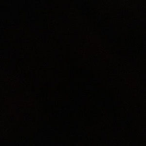 Meet your Posher, Marley